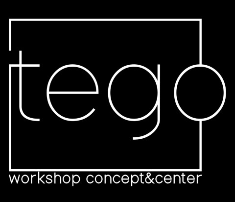 logotipo tego workshop concept